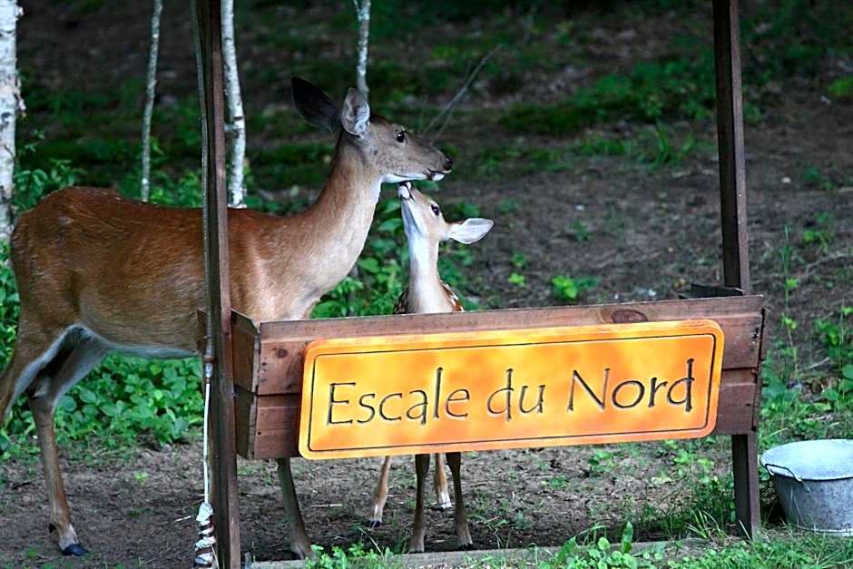Escale Du Nord