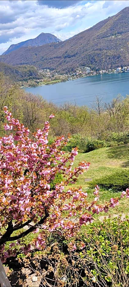 La Finestra sul Lago