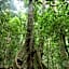 Chambers Wildlife Rainforest Lodges