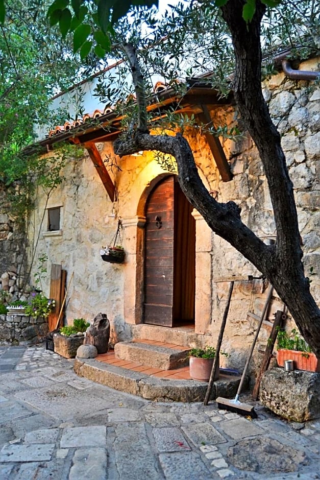 Fattoria La Tana della Volpe