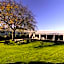 Waiuku Lodge Motel