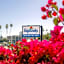 Edgewater Beach Inn