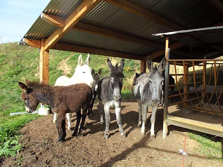 Chambres d'Hôtes Le Belvédère