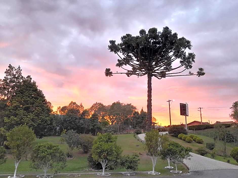 HOTEL CAMPO ALEGRE