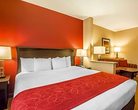 1 King Bed, Suite, Nonsmoking