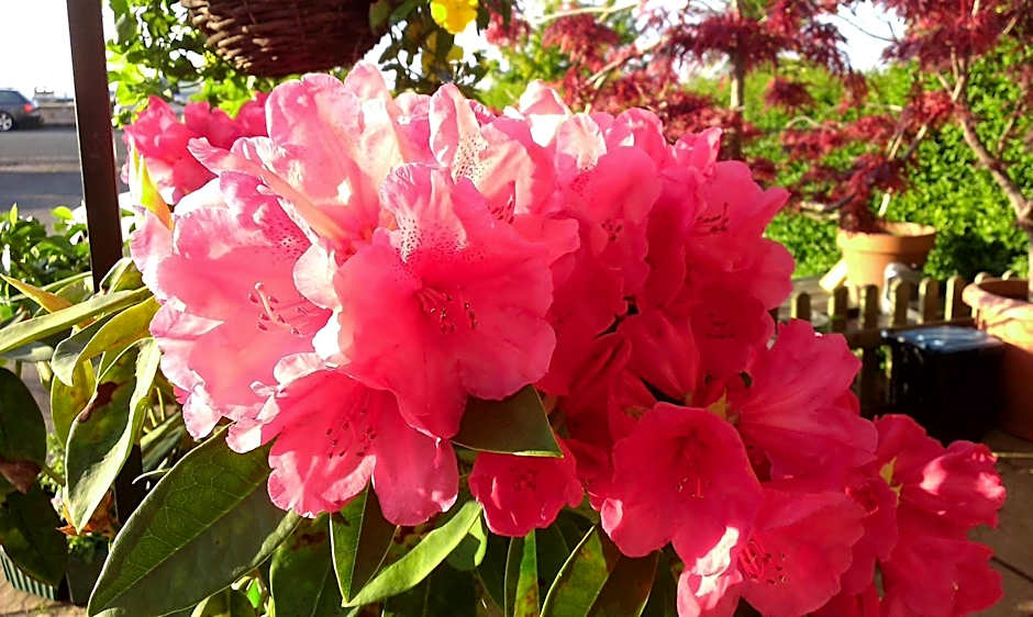 Min y Don Guest House