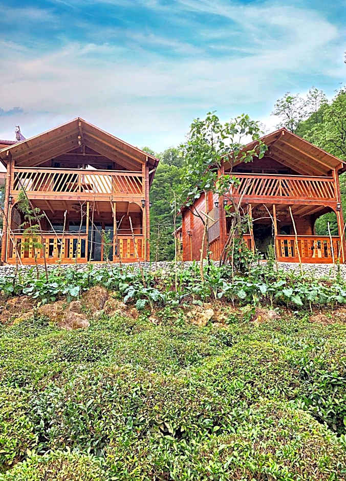 Tanura Bungalows