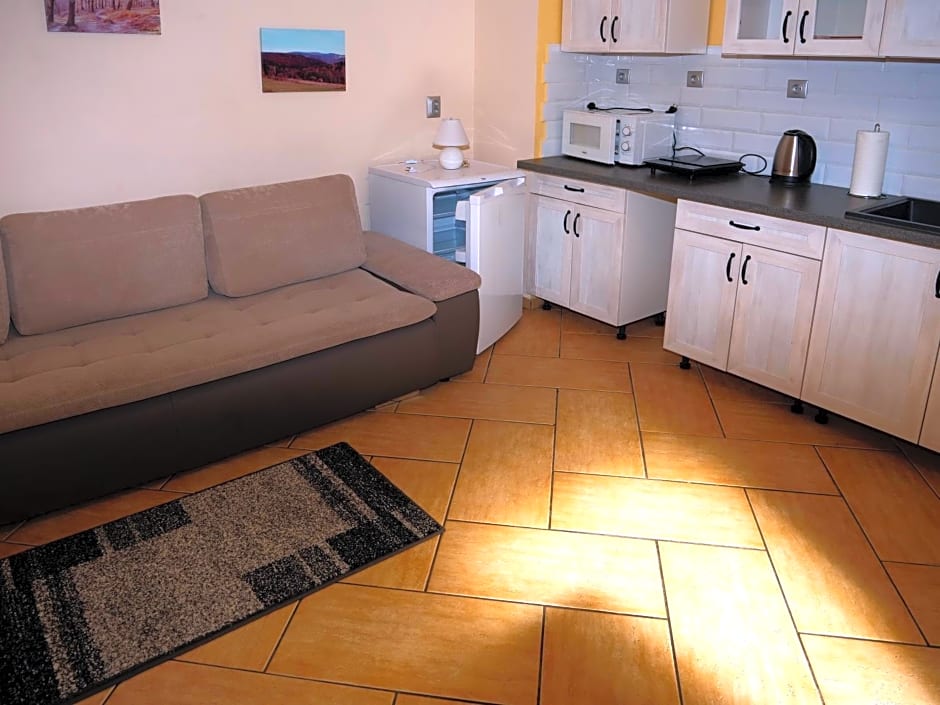 Apartament Wojtek