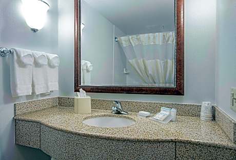 1 King Jr Suite Nonsmoking