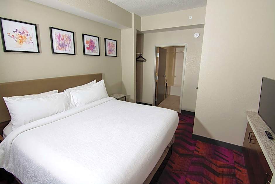 Hilton Garden Inn Tampa Suncoast Parkway