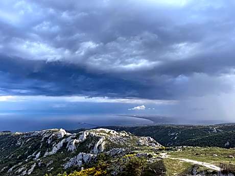 Double or Twin Room with View