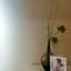 Boutique Hotel VIVA CREATIVO