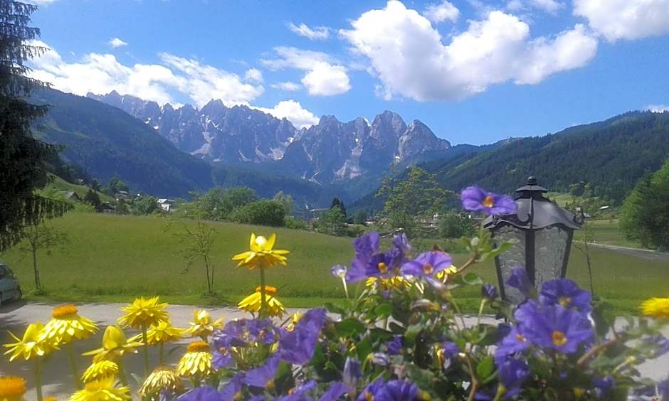 Hotel - Restaurant Gosauerhof