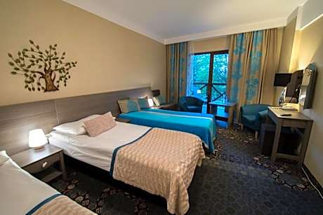 Triple Room with Balcony