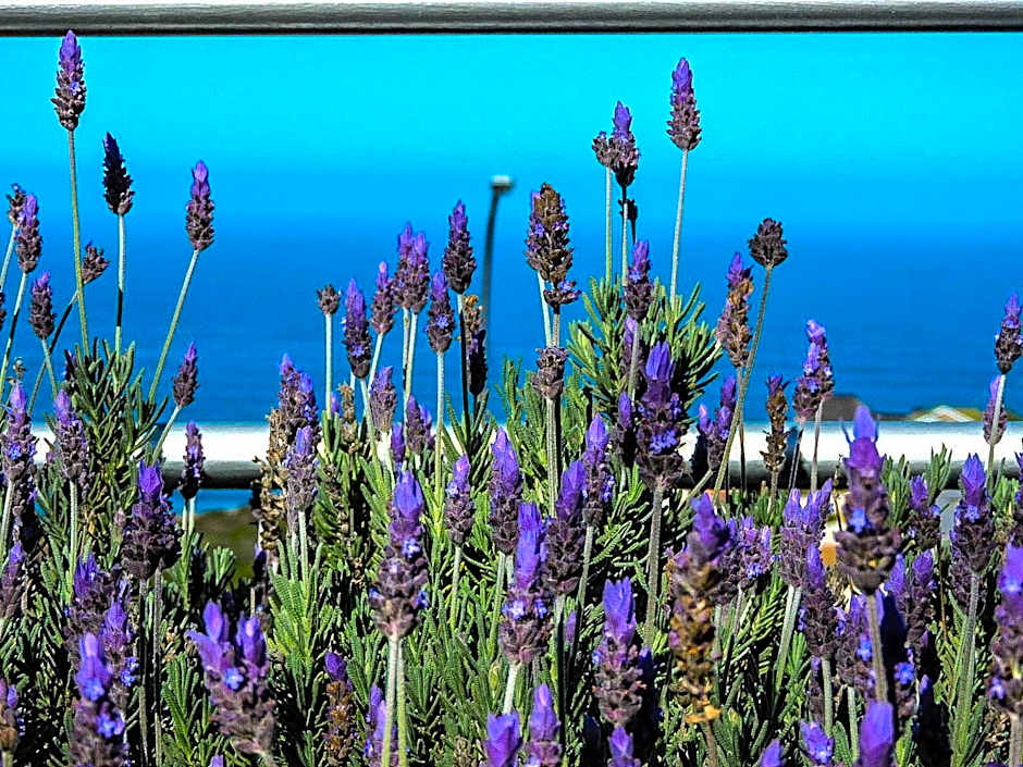 Amzee Bokmakierie Guest House