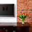 Janne Hotel with Self Check-in