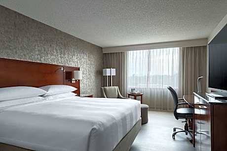 Guest Room with King Bed