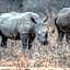 Tshukudu Game Lodge