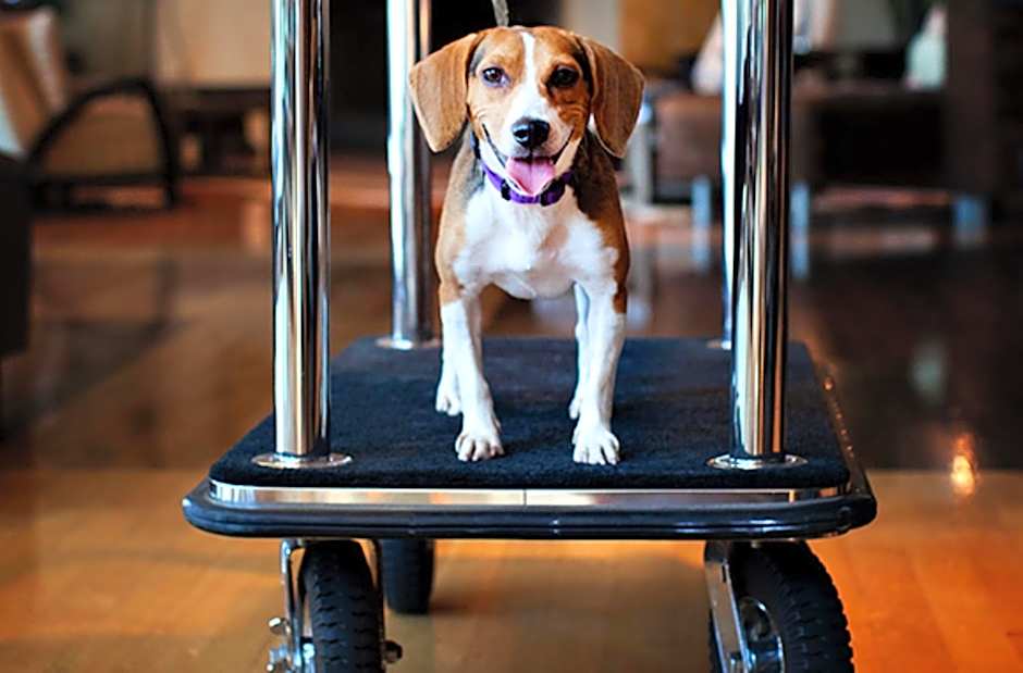 Holiday Inn Express & Suites Indio - Coachella Valley By IHG