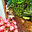Casa Tilde Guest House