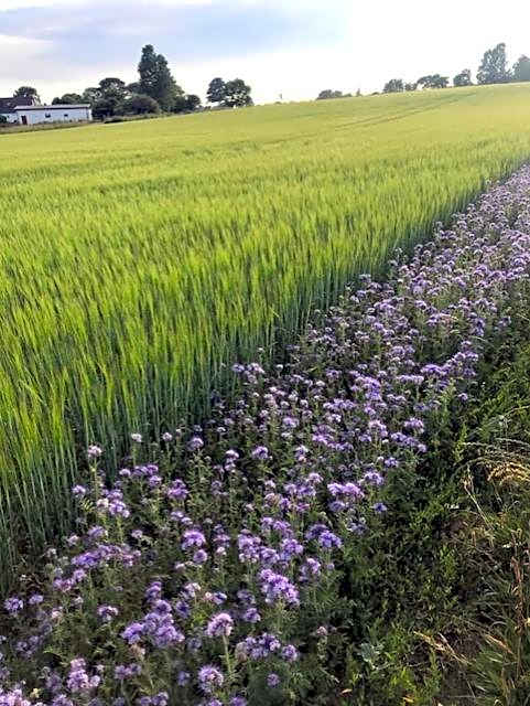 Hotell Turistgården i Simrishamn