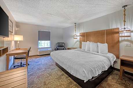King Room with Sofa Bed