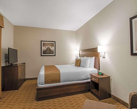 1 King Bed, Efficiency, Suite, Nonsmoking