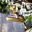 Foxy Crocodile Bush Lodge & Kruger Safaris