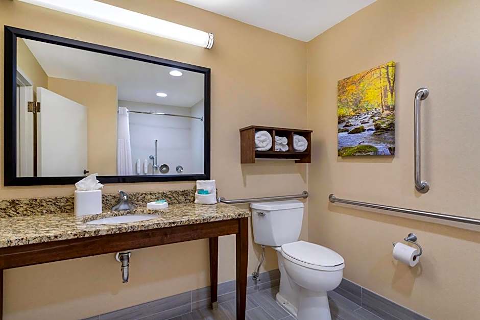 Clarion Pointe Cherokee