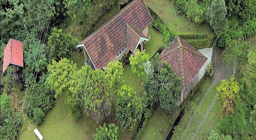 After the Rains - Rainforest Lodge