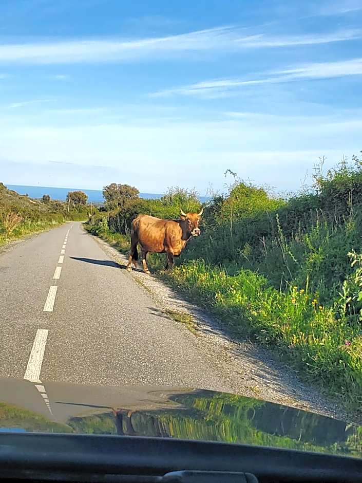 Residence Marina di Bravone