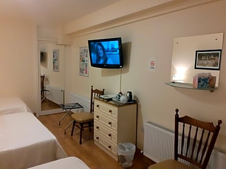 Triple Room (1 Double Bed + 2 Single Beds)