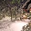 Kurokawa Onsen Oyado Noshiyu