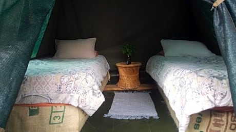Basic Twin Tent