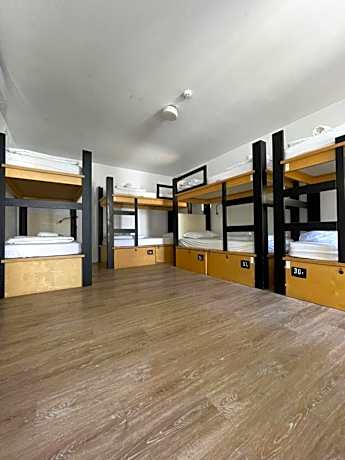 Single Bed in 8-Bed Dormitory Room