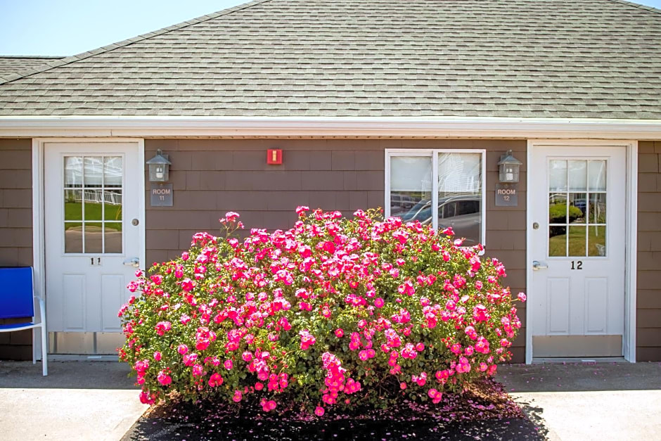 The Shore House