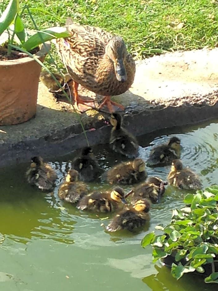 Rebels Hide -Self check in rooms