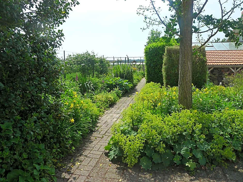 B&B De Kleine Wijngaard