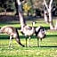 Breeze Holiday Parks - Grampians