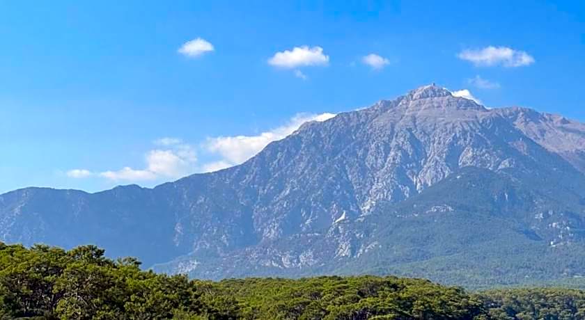 Amsterdam  Otel & Suit