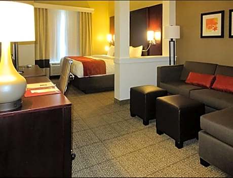 Non Smoking 1 King Suite