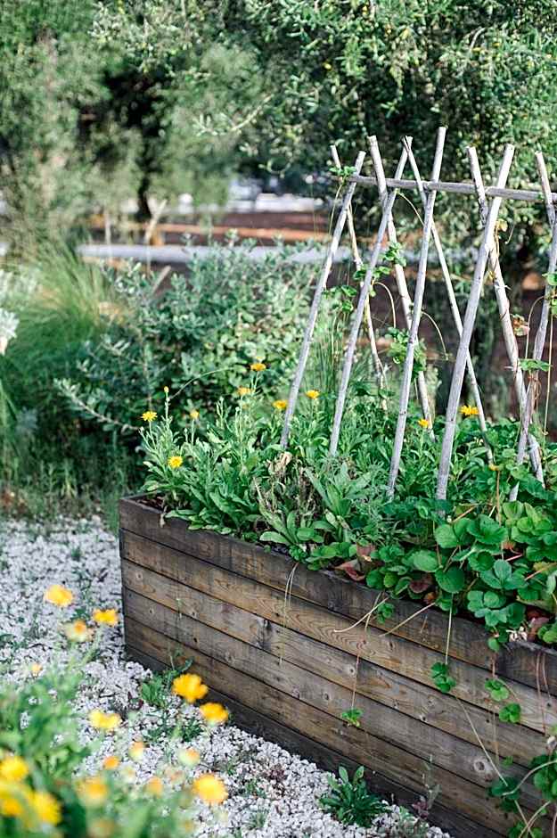 Fikus - the Apulian B&B