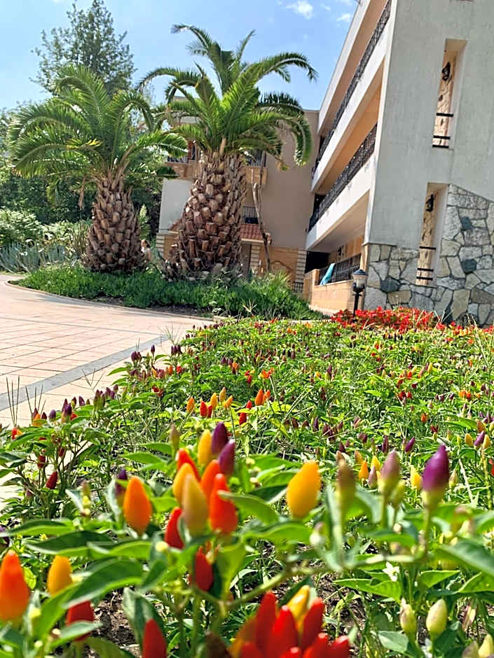 Hotel Nalba-Dalia Jupiter