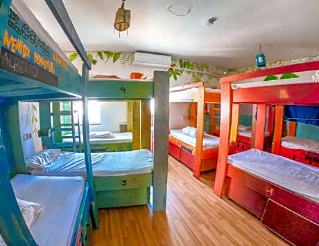 Bed in 14-Bed Mixed Dormitory Room