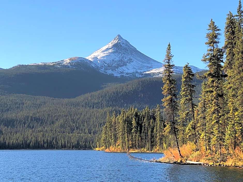 Vines and Puppies Hideaway
