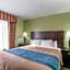 Comfort Inn Franklin Highway 96