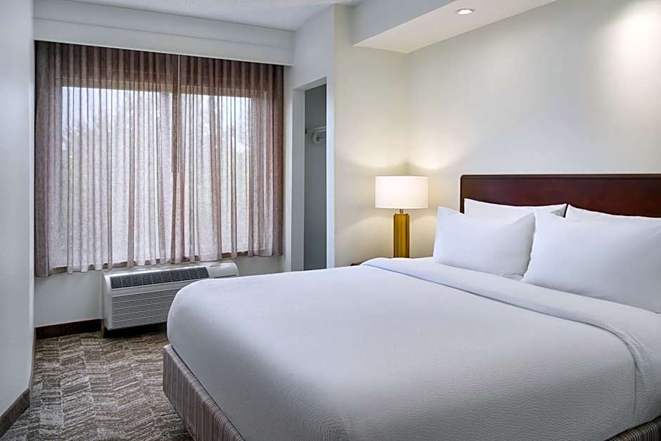 Photo 1 of 7 of 1 King Bed with Trundle Bed Suite