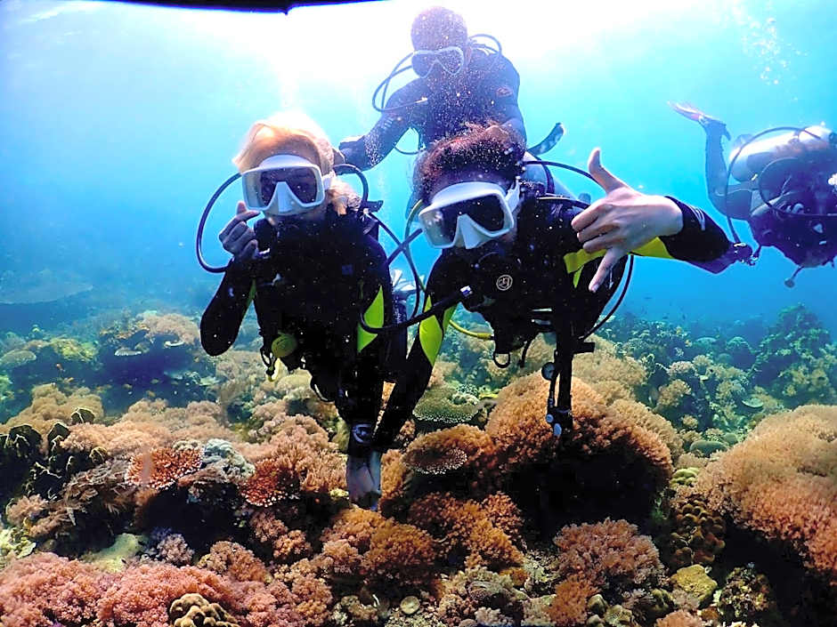 PamAnilao and Padoy's Dive Camp