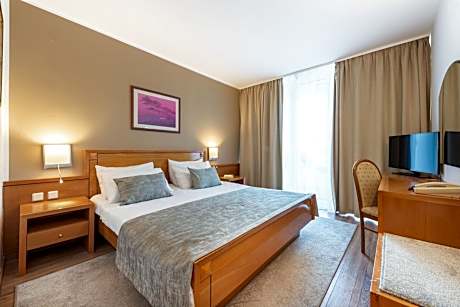 Standard Double Room (1 Double Bed)