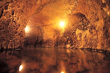 Kurokawa Onsen Yama no Yado Shinmeikan